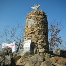 곡성-166 Daum카페