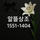 안암장례식장 | 고대안암병원 장례식장 후불상조 이용후기