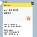 세시간전 추천인 코드 입력 후기｜크리에이터 수익 인증까지