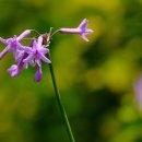 올림픽골프아카데미 이미지