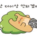 워시프라