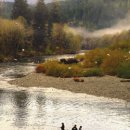 통나무아일랜드 이미지