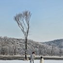 애기봉 평화생태공원 이미지