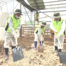 배종수농가 | 한국방송통신대학교 - 농학과 - 축산기사 필기 핵심 요약 정리(2018)