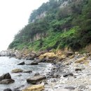 Seogwipo Sedimentary Layer(서귀포층) 이미지