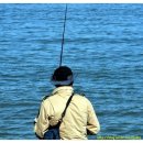 구름포오토캠핑장 이미지