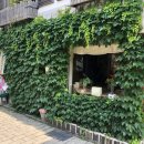 어반드로잉(주간) 이미지