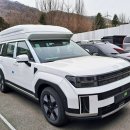 현대 카 센타 | 국산 대표 중형 SUV 현대 자동차 싼타페 하이브리드 자동차로 제작한 차박 캠핑카 추천