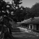 현내리 도원정사 이미지