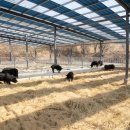 김성만농장 이미지