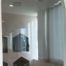 그루댕댕 이미지