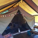 월드니스 이미지