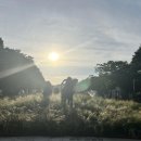 다산지금어린이공원5호[지금-8] 내손안에서울