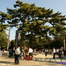 신궁모텔 이미지