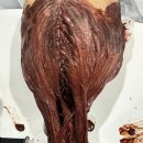 최윤헤어