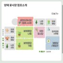 양재시장 | 상견례선물 호접란 양재꽃시장 진꽃농원 추천 후기 가격