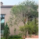 송당찬가 이미지