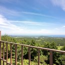 토종흑염소 이미지