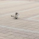 풍경공원 이미지