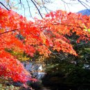 속리산아래민박 이미지