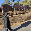 피콕빌리지 펜션 이미지