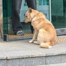 리썬헬스크럽 | [일기]2025년 12월 둘째주, 고작 일주일 지났는데 기억이 안나