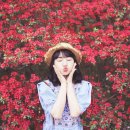 이철목장 | 충남 서산 가볼만한곳 겹벚꽃이 아름다운 문수사 : 꽃덕후 필수 방문지
