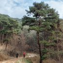 원주굽이길 원11코스 다둔인벌길 티스토리