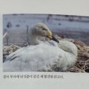 충남야생동물구조센터 | [도서] 우리 만난 적 있나요?:: 야생동물의 수난과 구조 이야기 (충남야생동물구조센터 지음)