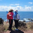 와랑와랑 이미지