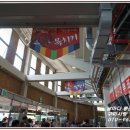 청도소싸움경기장 이미지