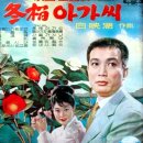 동백아가씨 이미지