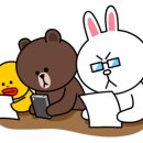 YB 유도클럽 이미지