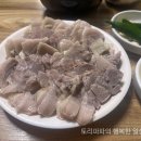 고기밥