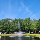 평창켄싱턴호텔 부대시설 이용후기(프렌치정원 수영장 카페플로리 휘트니스 헬스장)