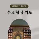 [우리절 이야기] 내일(초하루) 부터 수요 합심 기도 시작합니다. 이미지