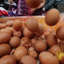 가남축산 이미지