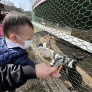 광주목장 이미지