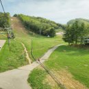 횡계길 | 강원도 대관령 : 횡계 현지인 치킨 맛집 유명통닭, 용평 리조트 액티비티 마운틴코스터 후기