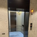 델피노숲 | 4세&amp;16개월 아기와 고성 델피노 오션플레이 내돈내산 이용후기