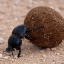 &#34;부르심을 받은 사람들 온라인 교회&#34; 2023년 3월 5일 주일 예배! 이미지