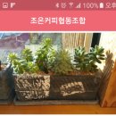 조은씨앤씨 이미지