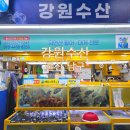 수암로 128번길 | 울산회맛집 수암회센터 <강원수산 수암회수산시장점> 모듬회 포장 후기!