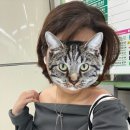 씨유수성만촌점 | 대구헤어컨설팅, 온플릭 대구수성점 천유진 원장님 후기💈💇‍♀️✨단발빈티지펌 후기 200퍼센트 만족