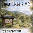 수목장 | 양주하늘계단수목장 수목장 후기｜아버님을 자연 속에 모시며 알게 된 선택 기준