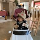 붕붕카매니아 이미지