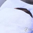 “그때되면 두살 넘잖아요”···‘반쪽짜리’ 신생아 특공에 화난 엄빠들 이미지