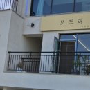 모도리(빈틈없이여무지게)