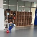 신동 유도관 이미지