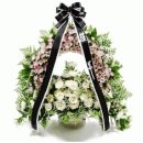 고정석치과의원 이미지